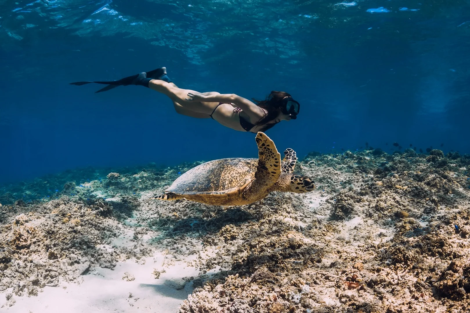 Gili-Air-Snorkeling