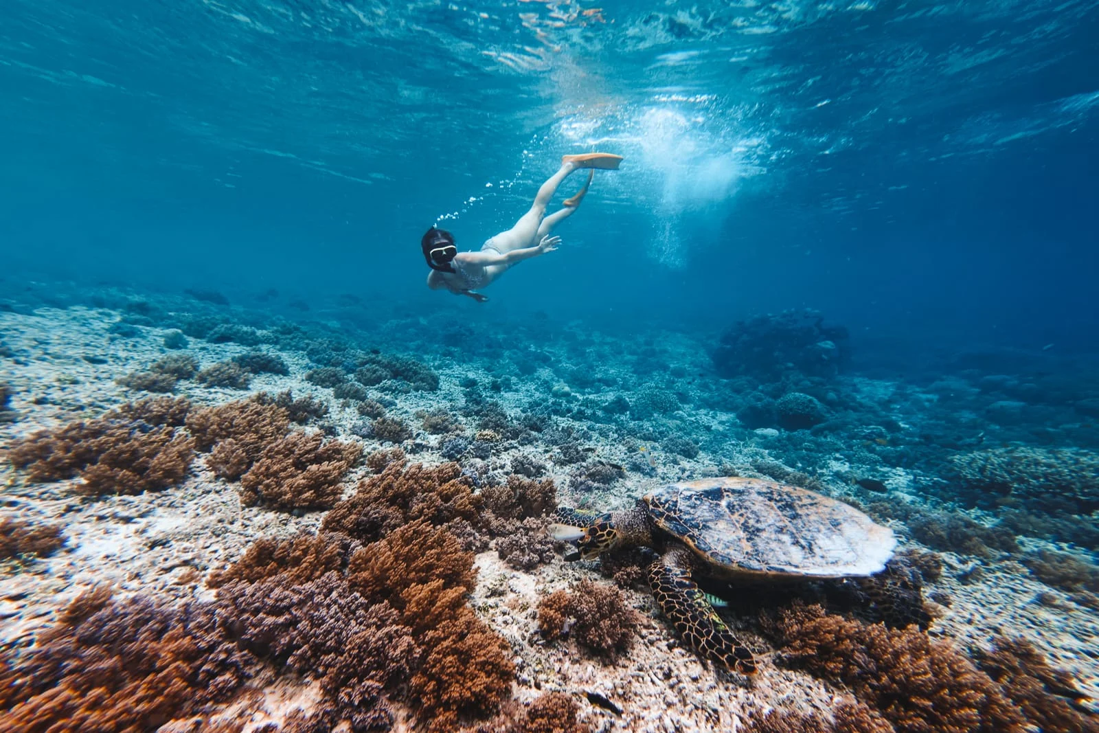 Gili-Snorkelling--3-of-8-